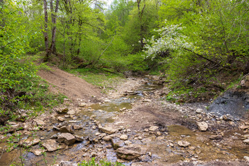 nature park , a walk along the riverbed with an overview of the stone bottom and banks