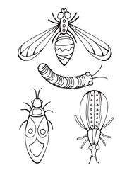 Black and white doodle illustration of a detailed beetle with ornament. Line art drawing isolated on white background. Coloring book page.