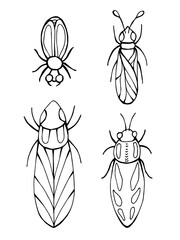 Black and white doodle illustration of a detailed beetle with ornament. Line art drawing isolated on white background. Coloring book page.