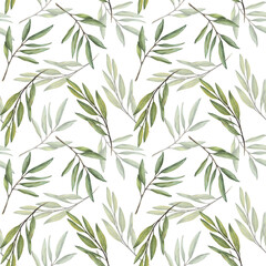 Fototapeta premium Olive tree branch, fruitless Green leaves twigs seamless pattern. Botanical floral Watercolor Hand drawn greenery in realistic style illustration for wallpaper, fabric print. Isolated white background