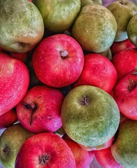 Freshly Picked Apples