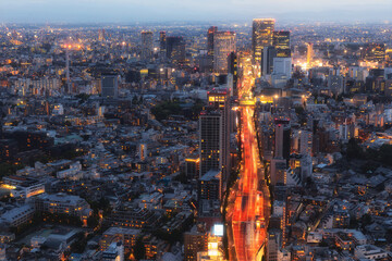 Tokyo streets and buidings, cityscape