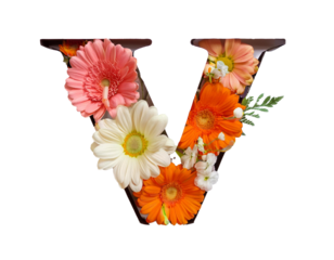 Letter V lettering with flowers, isolated on white background, cut out