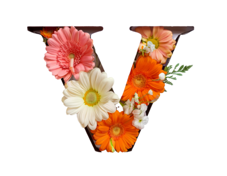 Letter V lettering with flowers, isolated on white background, cut out