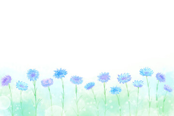 水彩で描いた青いヤグルマギクの花畑フレーム。優しい色合いの春の野原の風景。