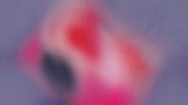 Abstract animated background, with blurred color patterns, gradient texture