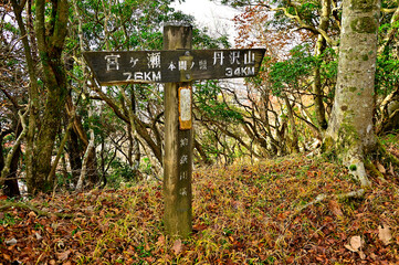 丹沢山地の本間ノ頭山頂
