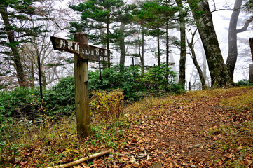 丹沢山地の太礼ノ頭山頂
