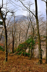 丹沢山地の瀬戸沢ノ頭より　晴れ行く丹沢主脈を望む
