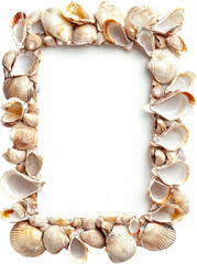 Obraz premium A beautiful shell frame on a white background.