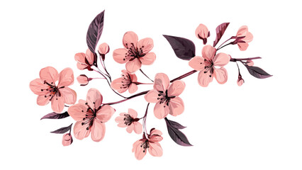 Cherry blossom invitation card design template. Watercolor cherry blossom invitation