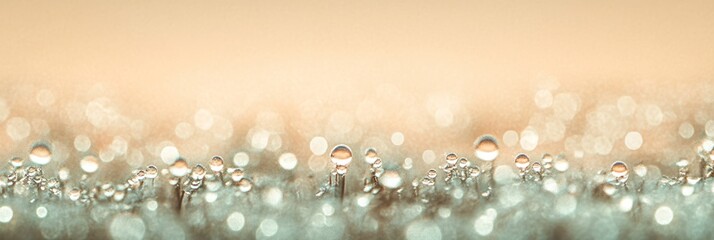 A close-up of water droplets on a soft surface, creating a serene and dreamy atmosphere.