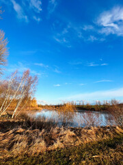 Tranquil lake with clear blue sky and autumn trees