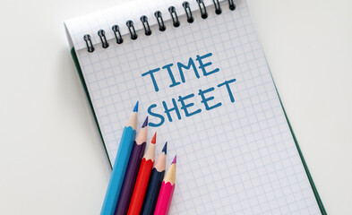 Filled out Time Sheet with writing hand on white background.