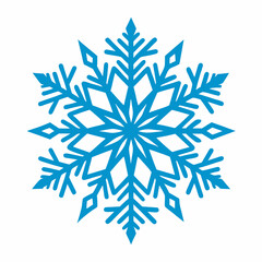 Elegant white background featuring detailed snowflake illustrations.