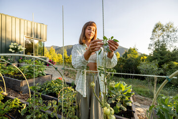 A woman joyfully examines green tomatoes in her garden. The lush plants and modern cabin backdrop...