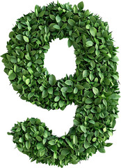 식물 컨셉 숫자