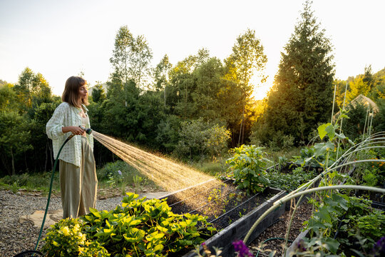 A woman waters her garden in the early morning, surrounded by lush greenery and a stunning mountain view. The peaceful moment captures the essence of life in harmony with nature