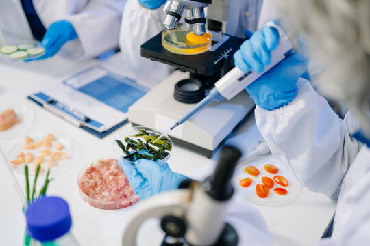 Dynamic scene of food scientists using microscopes and pipettes in a lab,