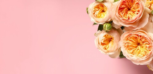 beautiful bouquet of yellow roses
on pink background