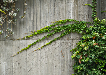 Camminare e fotografare la bellezza italiana nelle sue parti più affascinanti e nascoste 