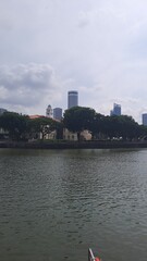 Fototapeta premium Building Forest In Central Business District Of Singapore