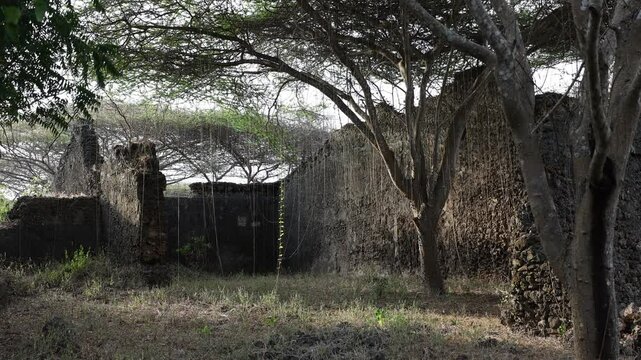 Mosque in Takwa ruins, Lamu County, Manda island, Kenya