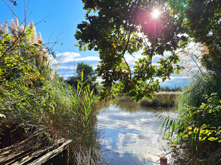 Nature of the natural park in Bibione - Naturalistic Oasis Val Grande.