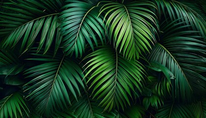 Green leaf texture, a vibrant tapestry of nature's design, showcasing summer's lush foliage