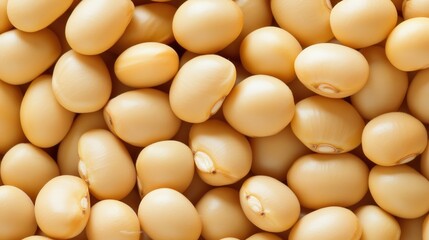 A close-up illustration of a soybean, showcasing its smooth, round shape and natural beige color. The detailed texture of the soybean is highlighted, making it a perfect visual for concepts