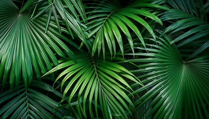 Green leaf texture, a vibrant tapestry of nature's design, showcasing summer's lush foliage