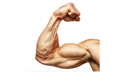 Strong Arm: A close-up image of a flexing bicep, showcasing the defined muscles and veins of a powerful physique.