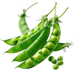 pea bean isolated on white background