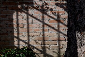 Camminare e fotografare la bellezza italiana nelle sue parti più affascinanti e nascoste 