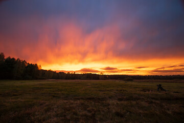 Amazing sunset over the forest