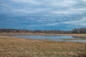 Spring pools in a meadow with a forest and blue sky in the background