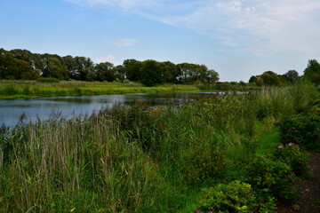 A view of a hill or mountain covered from all sides with grass, reeds, forests, and moors, located next to a vast river or lake, meadows, as well as having a view on nearby villages and towns 