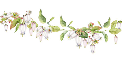 Blueberry white pink bell flower and bud with green leaves on branches, hand drawn in watercolor, wildflower botanical illustration. Seamless isolated banner, for wedding, florist shop, scrapbooking