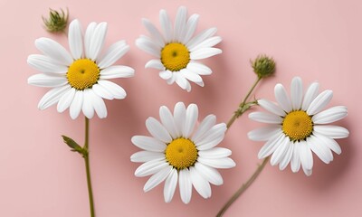 Obraz premium Flower background