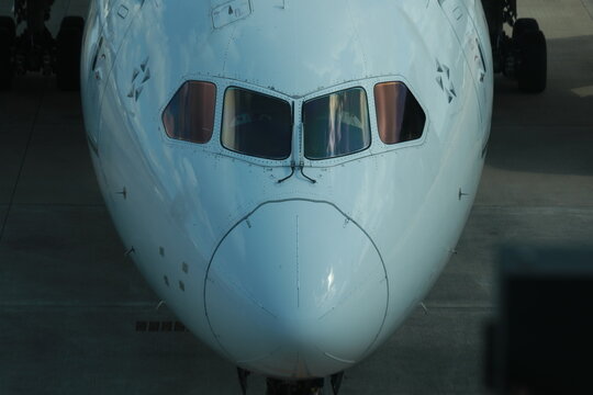 Nose.