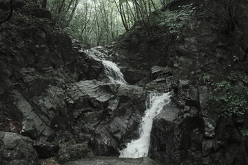 산속 깊숙한 곳에 폭포와 개울물이 흐르는 계곡의 협곡사이로 나무와 암석 돌들이 어우러진 자연환경의 배경화면