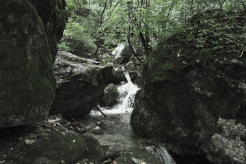 산속 깊숙한 곳에 폭포와 개울물이 흐르는 계곡의 협곡사이로 나무와 암석 돌들이 어우러진 자연환경의 배경화면