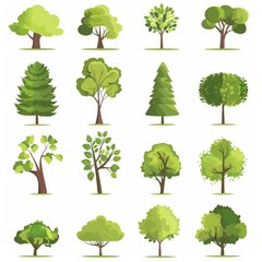 Green Tree Icon Set, Garden Trees Flat Design, Abstract Plant Symbol, Simple Forest Element Isolated