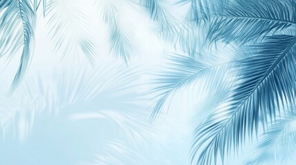 Stunning Light Blue Palm Leaves Background