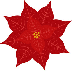 Christmas Flower Poinsettia Illustration 