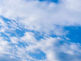 秋雨の日の束の間の晴れ間07