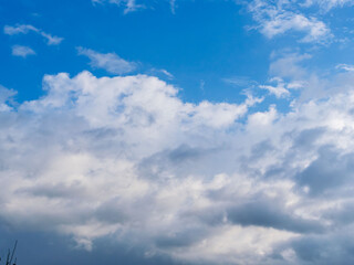 秋雨の日の束の間の晴れ間08