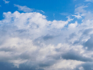 秋雨の日の束の間の晴れ間05
