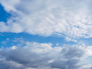 秋雨の日の束の間の晴れ間22