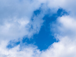 秋雨の日の束の間の晴れ間11